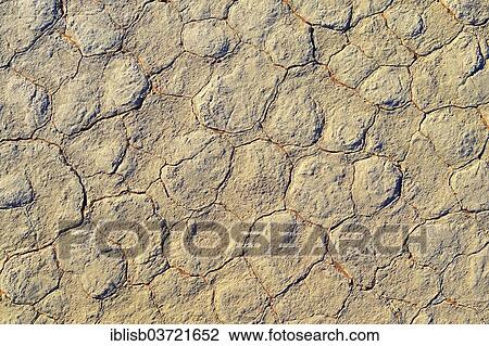 Stock Image - "Loam, Deadvlei, Sossusvlei, Namib-Naukluft Park, Namib Desert, Namibia, Africa". Fotosearch