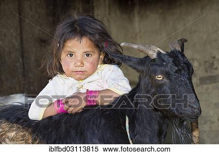 "Local little girl leaning on a black goat, Sete, Solukhumbu District, Sagarmatha Zone, Nepal, Asia" View Large Photo Image Stock Photography - "Local little girl leaning on a black goat, Sete, Solukhumbu District, Sagarmatha Zone, Nepal, Asia". Fotosearch