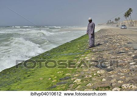 "Local man watching the surf at the corniche of Salalah during the monsoon season, or Khareef season, Salalah, Dhofar region, Orient, Oman, Asia" View Large Photo Image Stock Image - "Local man watching the surf at the corniche of Salalah during the monsoon season, or Khareef season, Salalah, Dhofar region, Orient, Oman, Asia". Fotosearch