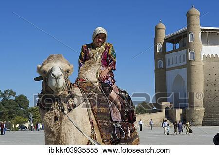 "Local tourist on a camel in front of the Ark fortress, Bukhara, Uzbekistan, Asia" View Large Photo Image Stock Photography - "Local tourist on a camel in front of the Ark fortress, Bukhara, Uzbekistan, Asia". Fotosearch