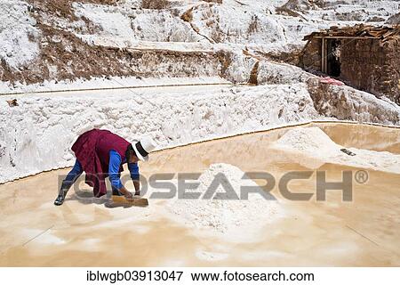 "Locals piling up salt with a wooden board, Salinas de Maras salt pans, created by the Incas and still in operation, Pichingote, Cusco region, Andes, Peru, South America" View Large Photo Image Stock Photo - "Locals piling up salt with a wooden board, Salinas de Maras salt pans, created by the Incas and still in operation, Pichingote, Cusco region, Andes, Peru, South America". Fotosearch