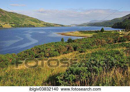 "Loch Broom towards Ullapool, Caithness, Sutherland and Ross, Scottish Highlands, Scotland, United Kingdom, Europe" View Large Photo Image Stock Image - "Loch Broom towards Ullapool, Caithness, Sutherland and Ross, Scottish Highlands, Scotland, United Kingdom, Europe". Fotosearch