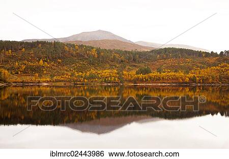 "Loch Cuillin in autumn, Highlands, Scotland, United Kingdom, Europe" View Large Photo Image Stock Photograph - "Loch Cuillin in autumn, Highlands, Scotland, United Kingdom, Europe". Fotosearch