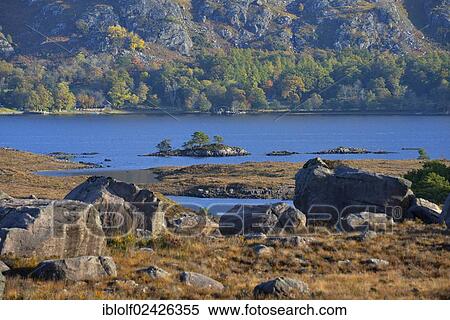 "Loch Maree, Beinn Eighe National Nature Reserve, SNH, Kinlochewe, Scottish Highlands, Wester Ross, Scotland, United Kingdom, Europe" View Large Photo Image Stock Photography - "Loch Maree, Beinn Eighe National Nature Reserve, SNH, Kinlochewe, Scottish Highlands, Wester Ross, Scotland, United Kingdom, Europe". Fotosearch