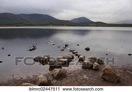 "Loch Morlich, Cairngorm Mountains, Scotland, United Kingdom, Europe" View Large Photo Image Stock Image - "Loch Morlich, Cairngorm Mountains, Scotland, United Kingdom, Europe". Fotosearch