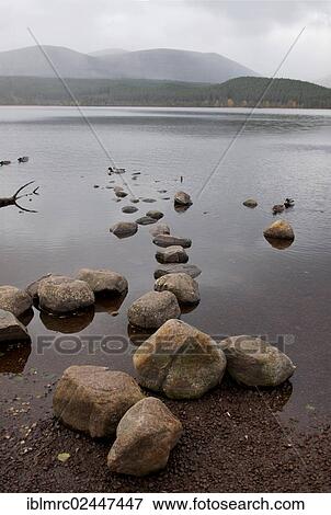 "Loch Morlich, Cairngorm Mountains, Scotland, United Kingdom, Europe" View Large Photo Image Stock Photo - "Loch Morlich, Cairngorm Mountains, Scotland, United Kingdom, Europe". Fotosearch
