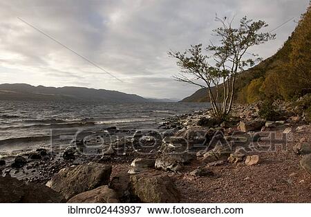 Stock Photo - "Loch Ness, Highlands, Scotland, United Kingdom, Europe". Fotosearch