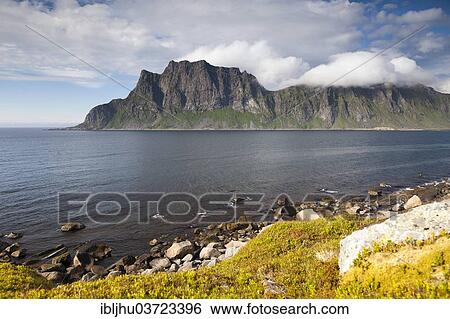 "Lofoten coast, view across Steinsfjorden to Skolmen, Utakleiv, Vestvagoy, Lofoten, Nordland, Norway, Europe" View Large Photo Image Stock Photograph - "Lofoten coast, view across Steinsfjorden to Skolmen, Utakleiv, Vestvagoy, Lofoten, Nordland, Norway, Europe". Fotosearch