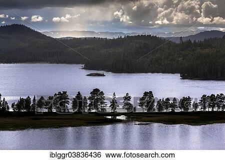 "Lognvikvatnet Lake with rain clouds, Austbo, Rauland, Telemark, Norway, Europe" View Large Photo Image Stock Photograph - "Lognvikvatnet Lake with rain clouds, Austbo, Rauland, Telemark, Norway, Europe". Fotosearch