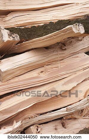 "Logs, firewood" View Large Photo Image Stock Image - "Logs, firewood". Fotosearch