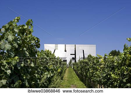 "Loisium Wine Experience and vineyard, Langenlois, Wachau, Lower Austria, Austria, Europe" View Large Photo Image Stock Photograph - "Loisium Wine Experience and vineyard, Langenlois, Wachau, Lower Austria, Austria, Europe". Fotosearch