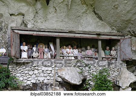 "Londa Burial Caves, Tau Tau effigies of the deceased, Rantepao, Paku, South Sulawesi, Indonesia, Asia" View Large Photo Image Stock Photo - "Londa Burial Caves, Tau Tau effigies of the deceased, Rantepao, Paku, South Sulawesi, Indonesia, Asia". Fotosearch