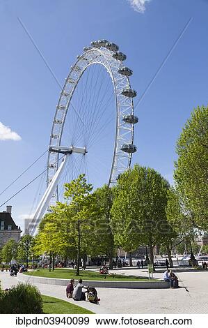 "London Eye from Jubilee Gardens, London, England, United Kingdom, Europe" View Large Photo Image Stock Photo - "London Eye from Jubilee Gardens, London, England, United Kingdom, Europe". Fotosearch