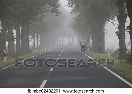Stock Image - "Lone cyclist on a typical tree-lined country road on a foggy autumn morning, near Hertefeld, Nauen, Havelland region, Brandenburg, Germany, Europe". Fotosearch