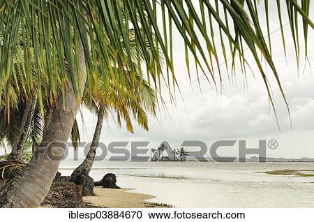 Stock Image - "Lonely beach with palm trees, tropical island, Chichime Cays, San Blas Islands, Panama, North America". Fotosearch