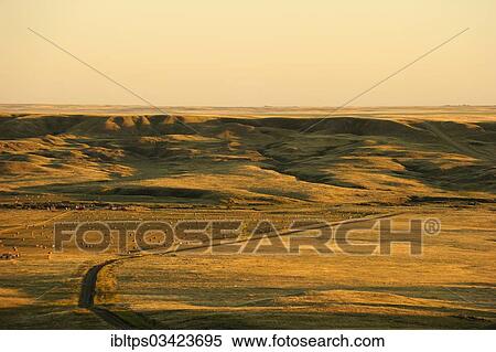 Stock Photography - "Lonely farm located in the middle of the prairie, Saskatchewan Province, Canada, North America". Fotosearch