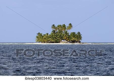 "Lonely island with palm trees, Lemon Cays, San Blas Islands, Caribbean, Panama, North America" View Large Photo Image Stock Image - "Lonely island with palm trees, Lemon Cays, San Blas Islands, Caribbean, Panama, North America". Fotosearch