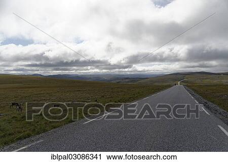 "Long straight road, Porsangenfjord, Norway, Europe" View Large Photo Image Stock Image - "Long straight road, Porsangenfjord, Norway, Europe". Fotosearch