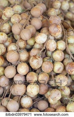 Stock Image - "Longan fruits on display at a market, Thailand, Asia". Fotosearch