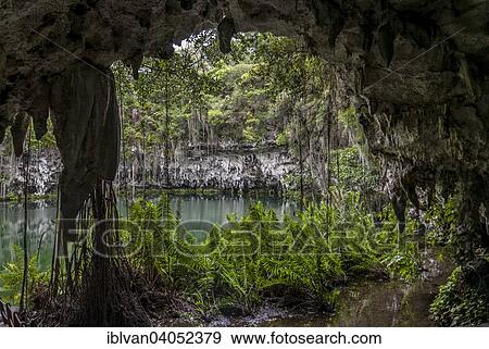 "Los Tres Ojos, The Three Eyes, open-air limestone cave, Mirador del Este park, Santo Domingo Este, Dominican Republic, North America" View Large Photo Image Stock Photo - "Los Tres Ojos, The Three Eyes, open-air limestone cave, Mirador del Este park, Santo Domingo Este, Dominican Republic, North America". Fotosearch
