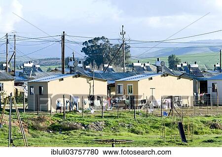 "Low income housing programme, new buildings replacing an informal settlement, Riebeek Kastel, Western Cape, South Africa, Africa" View Large Photo Image Stock Image - "Low income housing programme, new buildings replacing an informal settlement, Riebeek Kastel, Western Cape, South Africa, Africa". Fotosearch