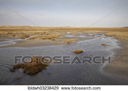 "Low tide in the Schleswig-Holstein Wadden Sea National Park, a UNESCO World Heritage Site, Schleswig-Holstein Wadden Sea National Park, St. Peter-Ording, Eiderstedt, North Frisia, Schleswig-Holstein, Germany, Europe" View Large Photo Image Stock Photo - "Low tide in the Schleswig-Holstein Wadden Sea National Park, a UNESCO World Heritage Site, Schleswig-Holstein Wadden Sea National Park, St. Peter-Ording, Eiderstedt, North Frisia, Schleswig-Holstein, Germany, Europe". Fotosearch