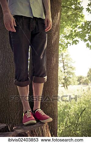 Lower section of young man standing on a tree stub View Large Photo Image Stock Image - Lower section of young man standing on a tree stub. Fotosearch
