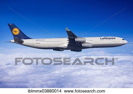 Lufthansa Airbus A330-343 in flight View Large Photo Image Picture - Lufthansa Airbus A330-343 in flight. Fotosearch