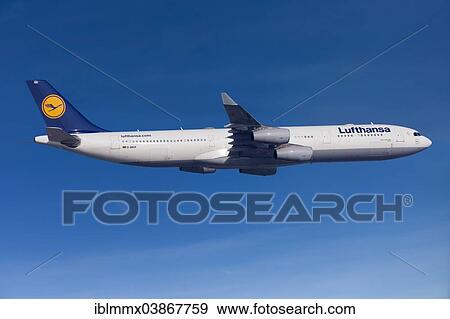 Lufthansa Airbus A330-343 in flight View Large Photo Image Stock Photo - Lufthansa Airbus A330-343 in flight. Fotosearch