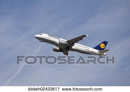 "Lufthansa D-AIPF Airbus A 320-200 aircraft, Duesseldorf International Airport, Duesseldorf, North Rhine-Westphalia, Germany, Europe" View Large Photo Image Stock Photo - "Lufthansa D-AIPF Airbus A 320-200 aircraft, Duesseldorf International Airport, Duesseldorf, North Rhine-Westphalia, Germany, Europe". Fotosearch