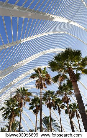 Stock Photo - "L'Umbracle Palm Garden, Ciudad de las Artes y las Ciencias, City of Arts and Sciences, Valencia, Spain, Europe". Fotosearch