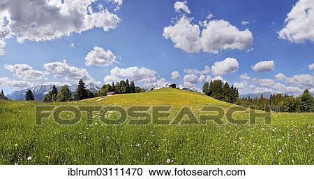 "Lush green mountain meadow with white clouds against a blue sky at Eckbauer, Eckbauer, Garmisch-Partenkirchen, Upper Bavaria, Bavaria, Germany, Europe" View Large Photo Image Stock Image - "Lush green mountain meadow with white clouds against a blue sky at Eckbauer, Eckbauer, Garmisch-Partenkirchen, Upper Bavaria, Bavaria, Germany, Europe". Fotosearch