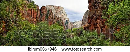 "Lush green vegetation and red sandstone cliffs at the Temple of Sinawava with views of the Great White Throne, Zion National Park, Utah, United States, North America" View Large Photo Image Stock Image - "Lush green vegetation and red sandstone cliffs at the Temple of Sinawava with views of the Great White Throne, Zion National Park, Utah, United States, North America". Fotosearch