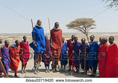 "Maasai, group of men and women dancing, two men jumping, Ngorongoro Conservation Area, Kiloki, Tanzania, Africa" View Large Photo Image Stock Image - "Maasai, group of men and women dancing, two men jumping, Ngorongoro Conservation Area, Kiloki, Tanzania, Africa". Fotosearch