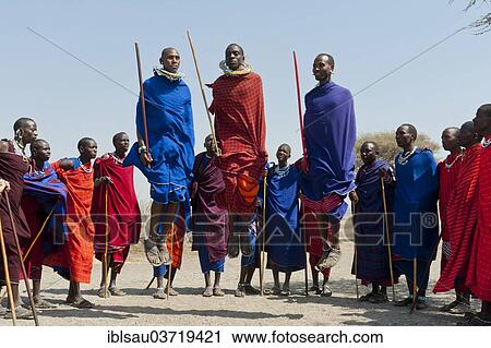"Maasai, group of men and women dancing, three men jumping, Ngorongoro Conservation Area, Kiloki, Tanzania, Africa" View Large Photo Image Stock Image - "Maasai, group of men and women dancing, three men jumping, Ngorongoro Conservation Area, Kiloki, Tanzania, Africa". Fotosearch