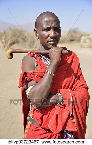 "Maasai man holding a traditional shepherd's stick, Ngorongoro Conservation Area, Ndema, Tanzania, Africa" View Large Photo Image Stock Photo - "Maasai man holding a traditional shepherd's stick, Ngorongoro Conservation Area, Ndema, Tanzania, Africa". Fotosearch