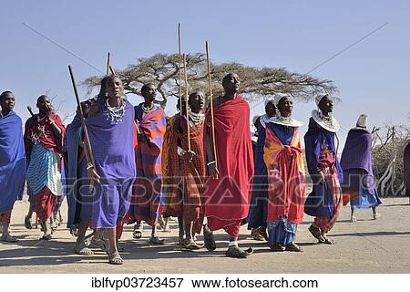 Stock Photo - "Maasai men dancing, Ngorongoro Conservation Area, Ndema, Tanzania, Africa". Fotosearch