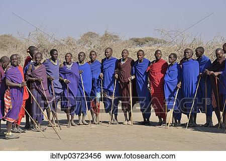 "Maasai men dancing, Ngorongoro Conservation Area, Ndema, Tanzania, Africa" View Large Photo Image Stock Photograph - "Maasai men dancing, Ngorongoro Conservation Area, Ndema, Tanzania, Africa". Fotosearch