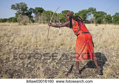"Maasai warrior wearing traditional dress while doing archery with a bow and arrow, Massai Mara, Distrikt Narok, Serengeti, Rift Valley province, Kenya, Africa" View Large Photo Image Stock Image - "Maasai warrior wearing traditional dress while doing archery with a bow and arrow, Massai Mara, Distrikt Narok, Serengeti, Rift Valley province, Kenya, Africa". Fotosearch