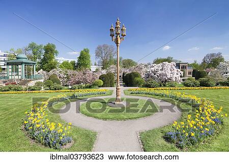 "Magnolia blossom in the Moorish Garden, Wilhelma, Stuttgart, Baden-Wurttemberg, Germany, Europe" View Large Photo Image Stock Image - "Magnolia blossom in the Moorish Garden, Wilhelma, Stuttgart, Baden-Wurttemberg, Germany, Europe". Fotosearch