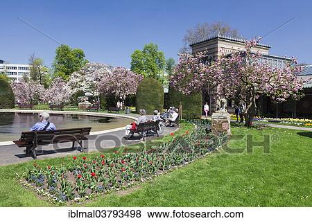 "Magnolia blossom in the Moorish Garden, Wilhelma, Stuttgart, Baden-Wurttemberg, Germany, Europe" View Large Photo Image Stock Photo - "Magnolia blossom in the Moorish Garden, Wilhelma, Stuttgart, Baden-Wurttemberg, Germany, Europe". Fotosearch