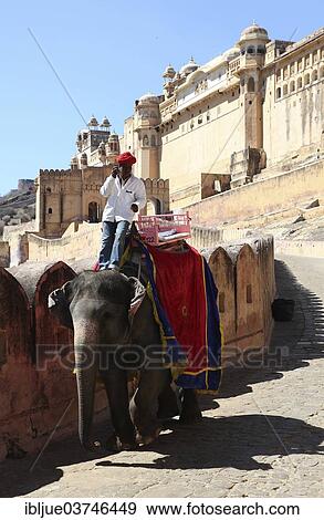 "Mahut leaning on his elephant and using a mobile phone, Amer Fort behind, Amber, Jaipur, Rajasthan, India, Asia" View Large Photo Image Stock Photo - "Mahut leaning on his elephant and using a mobile phone, Amer Fort behind, Amber, Jaipur, Rajasthan, India, Asia". Fotosearch