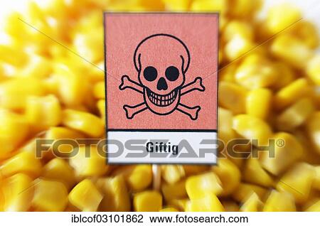 Stock Image - "Maize kernels with a poison sign, symbolic image for feed scandal, Germany, Europe". Fotosearch