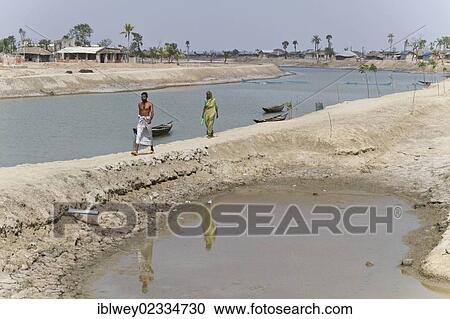 Stock Image - "Man and a woman walking along a dam, Cyclone Aila severely flooded the town of Gabura in 2009, Sundabarns, Khulna District, Bangladesh, South Asia, Asia". Fotosearch