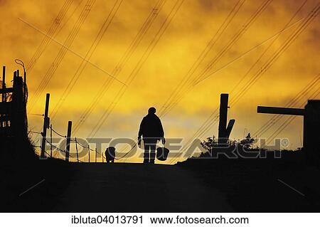 "Man and dog walking along path, evening light, silhouette, Singscheider Hohe, Essen-Kupferdreh, North Rhine-Westphalia, Germany, Europe" View Large Photo Image Stock Image - "Man and dog walking along path, evening light, silhouette, Singscheider Hohe, Essen-Kupferdreh, North Rhine-Westphalia, Germany, Europe". Fotosearch
