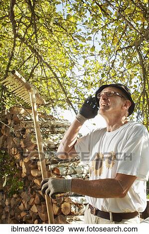 Stock Photo - Man at the apple harvest. Fotosearch