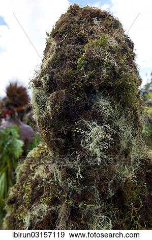 "Man covered in moss at the traditional sing-sing gathering, Hochland, Mount Hagen, Western Highlands Province, Papua New Guinea, Oceania" View Large Photo Image Stock Photo - "Man covered in moss at the traditional sing-sing gathering, Hochland, Mount Hagen, Western Highlands Province, Papua New Guinea, Oceania". Fotosearch