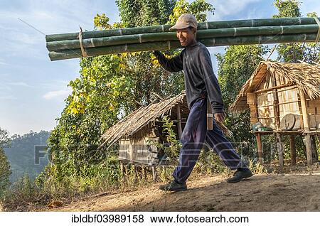 "Man from the Lahu people, hill tribe, ethnic minority, carrying bamboo poles, Mae Hong Song Province, Northern Thailand, Thailand, Asia" View Large Photo Image Stock Photo - "Man from the Lahu people, hill tribe, ethnic minority, carrying bamboo poles, Mae Hong Song Province, Northern Thailand, Thailand, Asia". Fotosearch