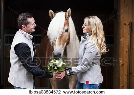 "Man giving a woman flowers, Tyrolean Haflinger eating the flowers, North Tyrol, Austria, Europe" View Large Photo Image Stock Image - "Man giving a woman flowers, Tyrolean Haflinger eating the flowers, North Tyrol, Austria, Europe". Fotosearch