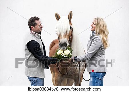 "Man giving a woman flowers, Tyrolean Haflinger eating the flowers, North Tyrol, Austria, Europe" View Large Photo Image Stock Photo - "Man giving a woman flowers, Tyrolean Haflinger eating the flowers, North Tyrol, Austria, Europe". Fotosearch